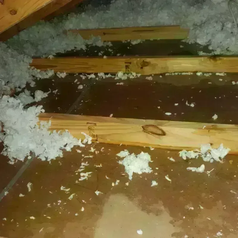 Attic Water Damage in Ransom County, ND